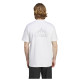 Adidas Ανδρική κοντομάνικη μπλούζα Terrex Mountain Graphic Tee